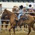 The Royal Flush: Team Penning in Tunica